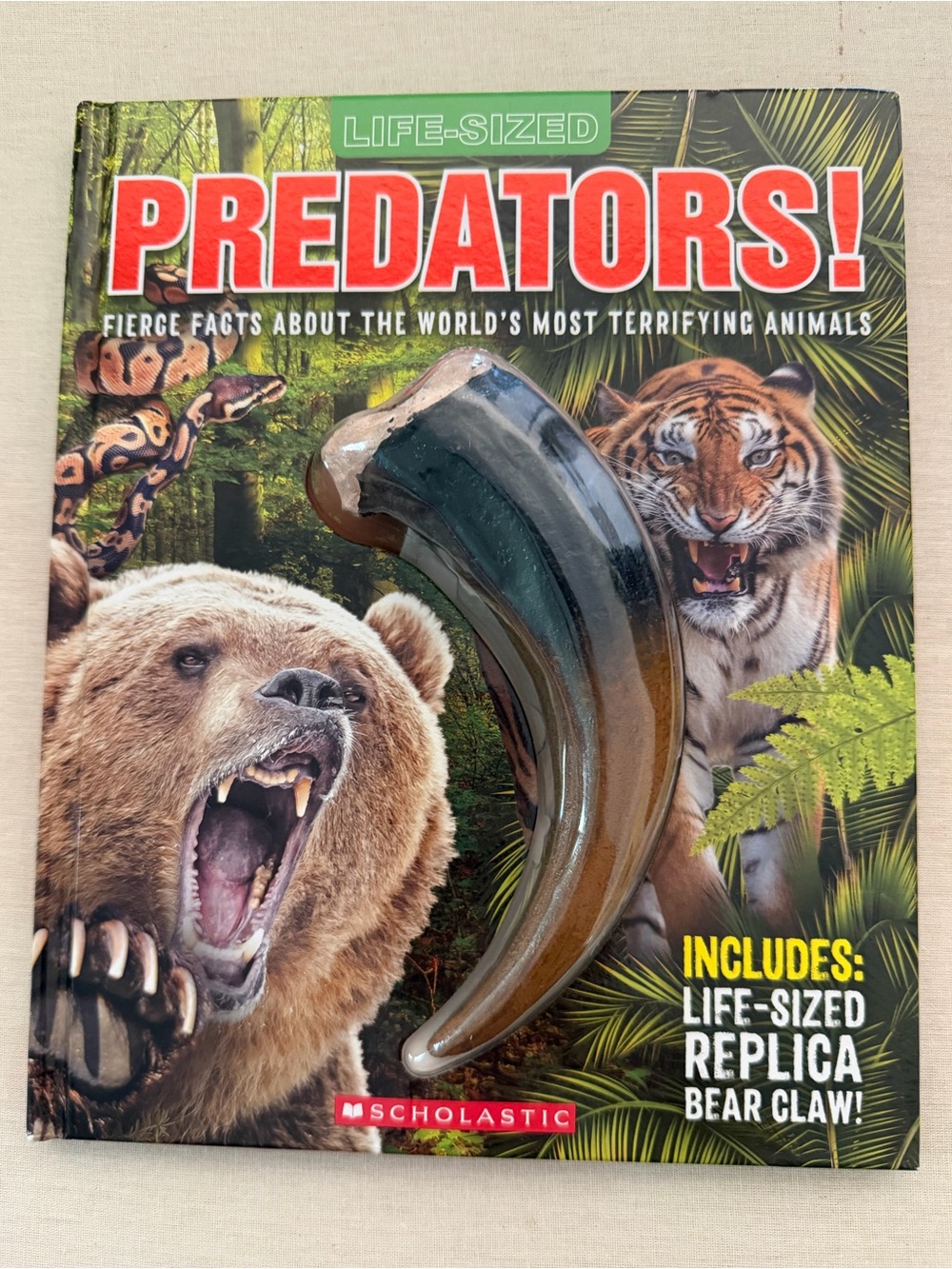 Scholastic Predators! Book with Brown Bear Claw Replica